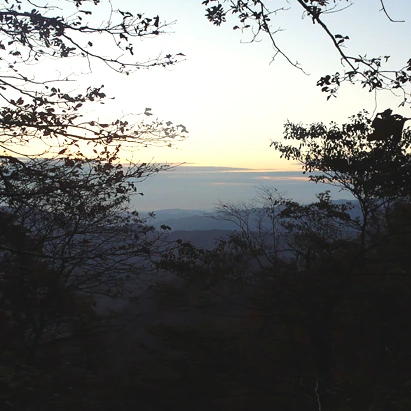 SE-87f2585c-2392-4174-94e5-1e0456bdf13e.jpg?type=w1