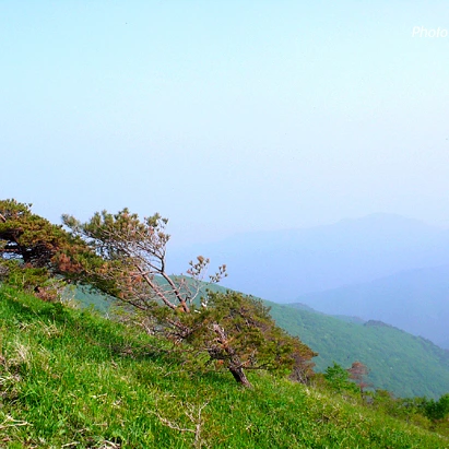 SE-1cfa16fc-85ce-499a-ac8b-753d43944342.jpg?type=w1