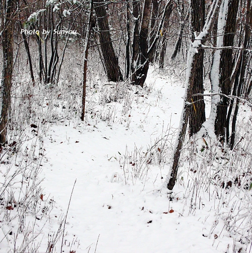 SE-af909bba-6081-4210-8f87-d14542e90b6e.jpg?type=w1