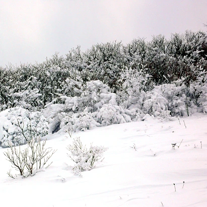 SE-25a496cd-bd61-49d0-bf88-e8a58b1400db.jpg?type=w1