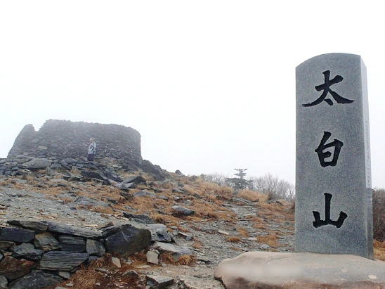 SE-7de8571c-d03d-4390-b70c-c9ba70c99142.jpg?type=w1