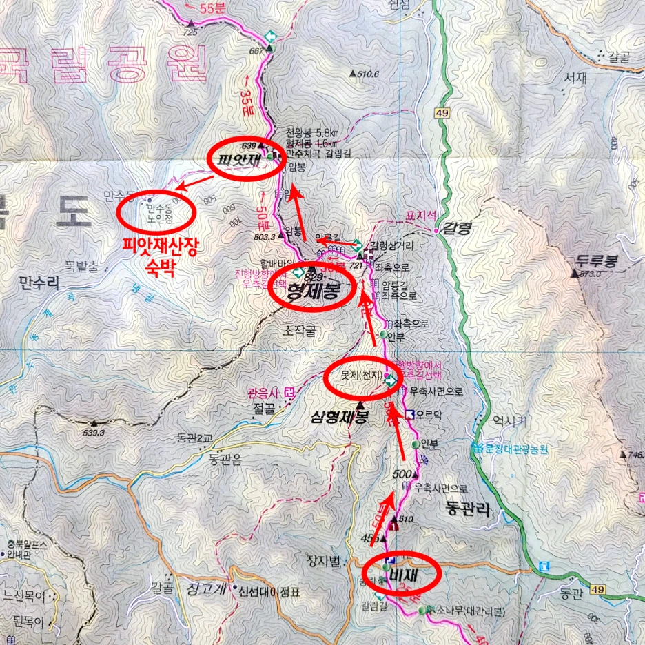 SE-6ff8e550-1c96-4153-bd5e-336a0f15a8b6.png?type=w1