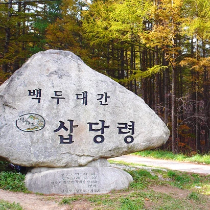 SE-9a92c67b-184d-4fb1-b942-9238278935fc.jpg?type=w1