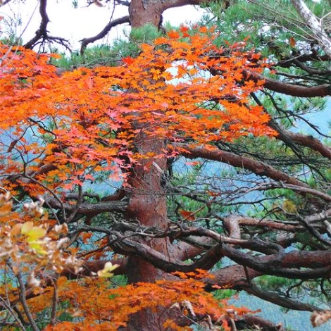 SE-27de95ce-a3bb-40c5-93a6-074eaa050209.jpg?type=w1