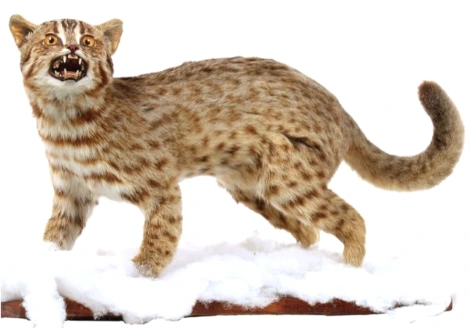 SE-7fc288eb-bb2f-4db6-8698-69796d3e4578.png?type=w1