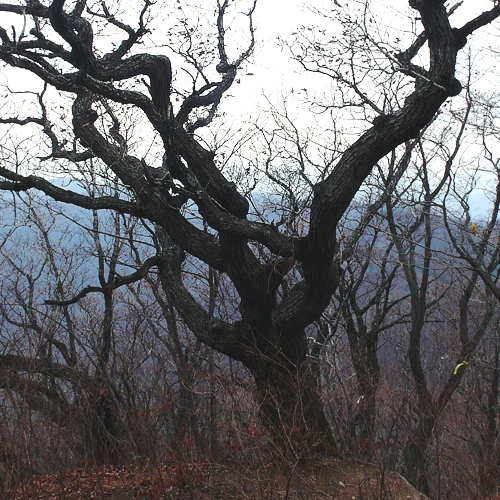 SE-17c2646b-92e1-458d-bb50-1ed081e1e529.jpg?type=w1