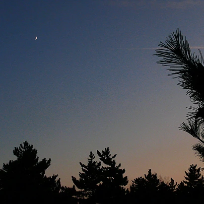 SE-1b4aa6b8-46c3-409d-8c40-b96c3cbb317a.jpg?type=w1