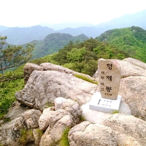 SE-d029c9eb-c611-48e9-8827-7039a87b2203.jpg?type=w1