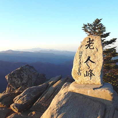 SE-fb9c8aa3-7590-493d-bf7a-3892cd7bbf42.jpg?type=w1