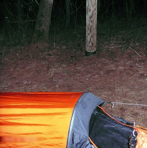 SE-73e73b0b-9c59-4c6c-9f0a-a0540e1681a4.jpg?type=w1