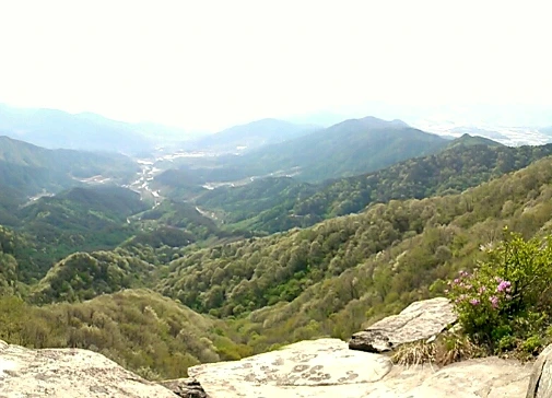 SE-cc74d818-6131-4343-b65b-75eb0023d24b.jpg?type=w1