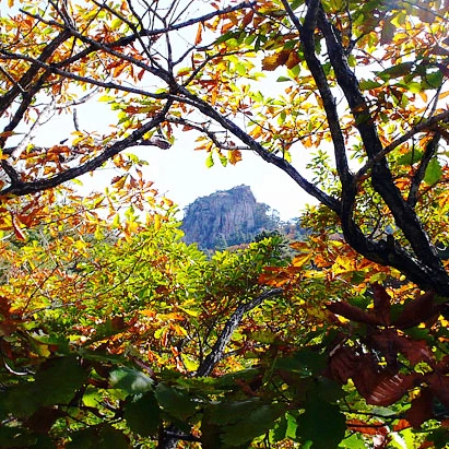 SE-87bd0277-b7d8-4425-987b-519cd8abb032.jpg?type=w1