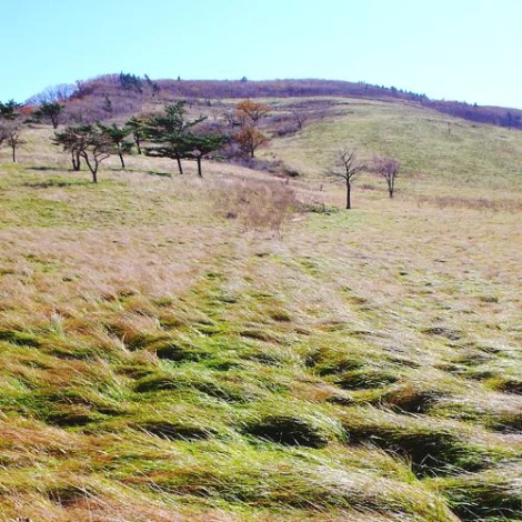 SE-dfafbdbe-86cc-4afb-8fef-13a33fce1838.jpg?type=w1