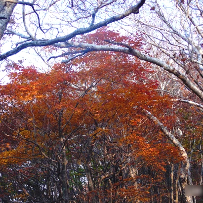 SE-4c2c406e-d002-4578-868d-e36e21f59f1f.jpg?type=w1