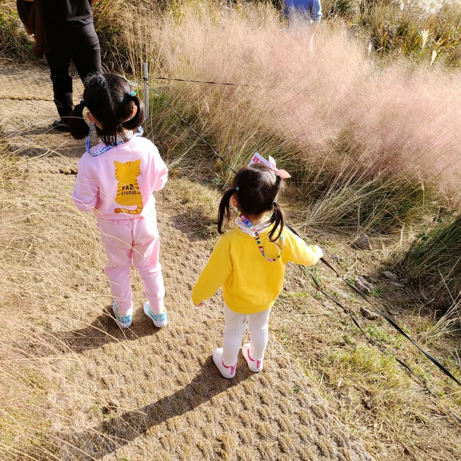 SE-08741acc-0a05-4e3f-9958-aa704d14b162.jpg?type=w1