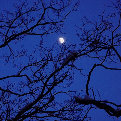 SE-b270f5d9-667b-4a53-be88-3d96677c860e.jpg?type=w1