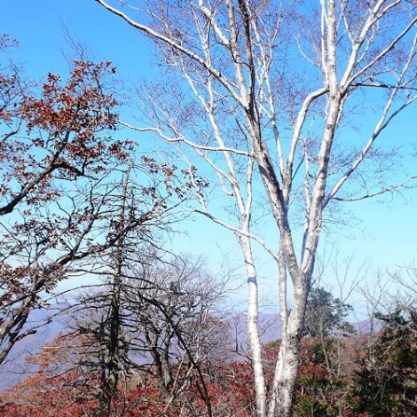 SE-594433ef-9b28-4ef8-8daa-fb7dcb5d97ef.jpg?type=w1