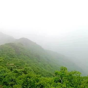 SE-684cae0f-2ac1-4d9d-8cab-4c972349bb82.jpg?type=w1