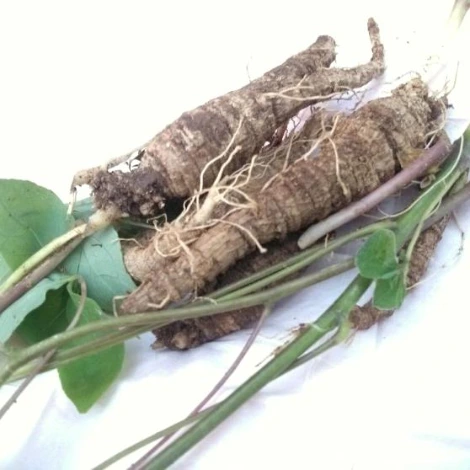 SE-7f84f038-af36-4e4b-8e2e-8612da866361.jpg?type=w1