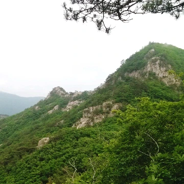 SE-ab7c8083-12ca-4221-ac46-c82e26d98824.jpg?type=w1