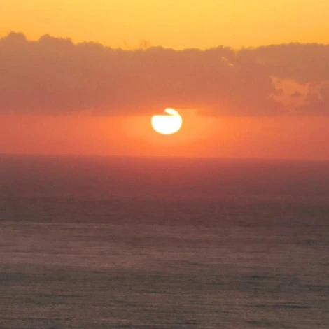 SE-7d481bb1-442c-11ec-b81c-07fdbb4192c0.jpg?type=w1