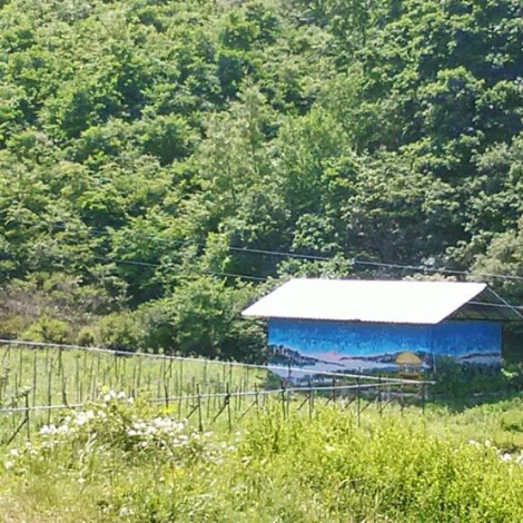 SE-bd5cb670-890d-4514-ba6c-d018160a6c58.jpg?type=w1