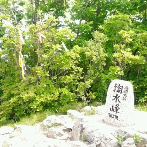 SE-416b0835-a237-4af0-8d0f-3916f37e5bc1.jpg?type=w1