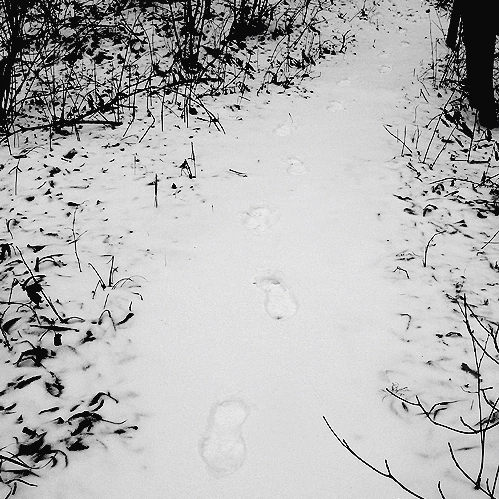 SE-80222687-ee29-4574-bc63-7c95d95ad583.jpg?type=w1