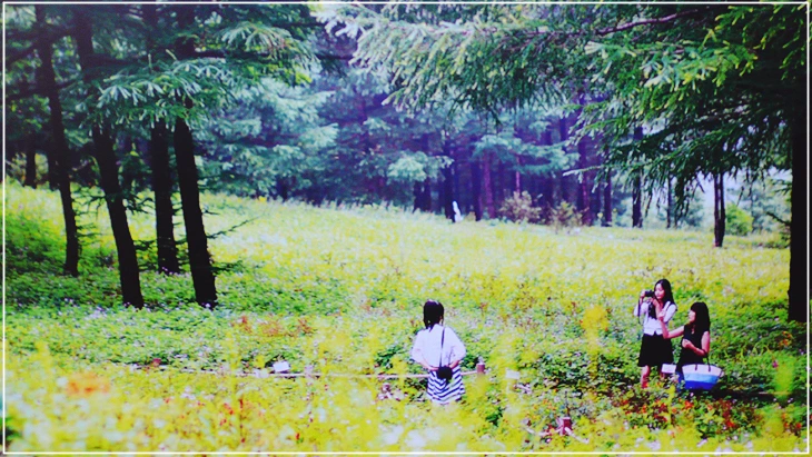 SE-eb041662-9d72-49ed-9909-286c1fa2cc06.jpg?type=w1