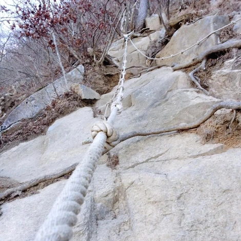 SE-9943fba1-6217-4f58-aa04-0844030859f1.jpg?type=w1