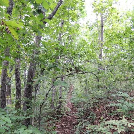 SE-88cf3bc8-50a9-4698-bb74-2bfe32bdb41f.jpg?type=w1