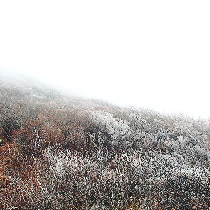 SE-d1e6d1a4-c32f-491c-8e38-54e281f72363.jpg?type=w1