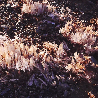 SE-cdddad9c-4939-4ed4-8c4b-601b7909d3c3.jpg?type=w1