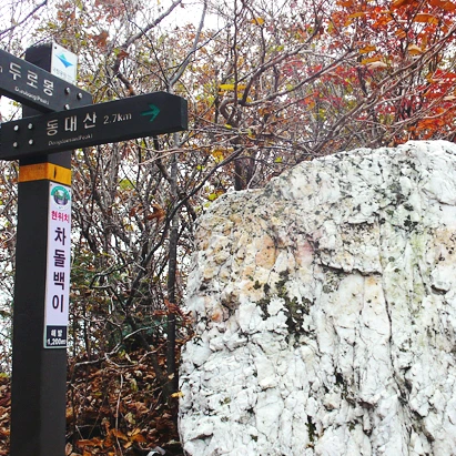 SE-2663fad6-c22b-48e2-906e-071313bfc0a3.jpg?type=w1