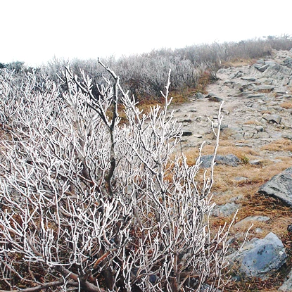 SE-bf81eac8-f634-4e96-a777-e42182404632.jpg?type=w1