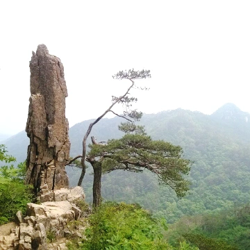 SE-4acad88f-55a9-4208-b378-50bb5b3d4ea8.jpg?type=w1