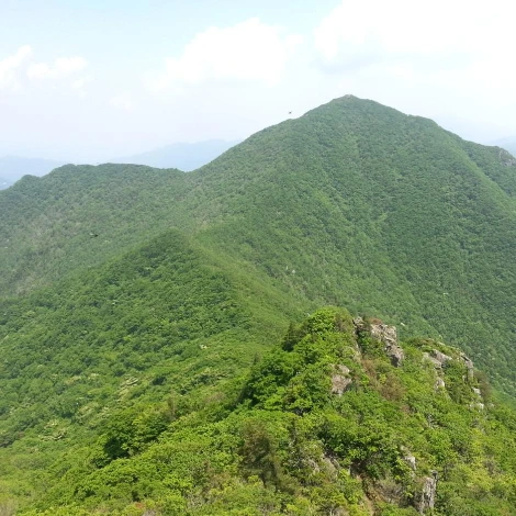 SE-23a26454-6f94-4d72-b242-6e1b6d468111.jpg?type=w1