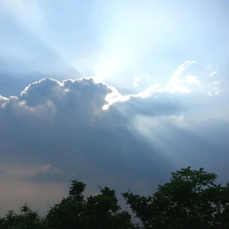 SE-2dcc2e20-0adc-460c-91cf-9f942bb0143c.jpg?type=w1