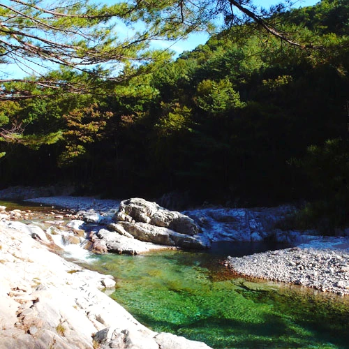 SE-8ae08b18-b4c4-4fb1-9aa9-0145c345dc67.jpg?type=w1