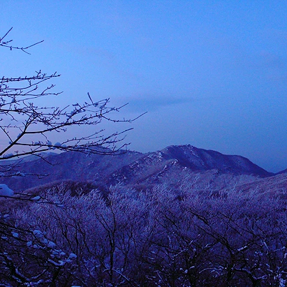 SE-634fa669-c72a-4ba3-b4ed-893944f91a34.jpg?type=w1