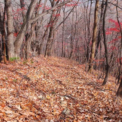 SE-1a1086c7-b037-42f3-bd05-861755e49b93.jpg?type=w1