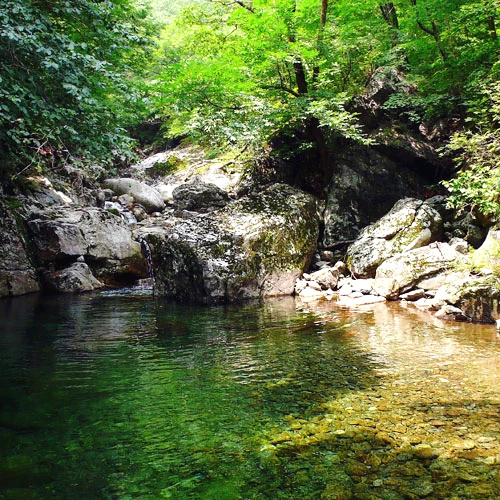 SE-4a70ecac-7559-46b9-96fc-e8183caf3d0c.jpg?type=w1