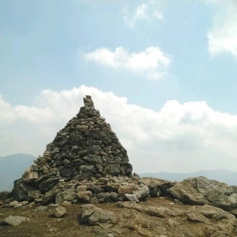 SE-9b2941dc-a35a-4205-b21f-36eeb4deb948.jpg?type=w1