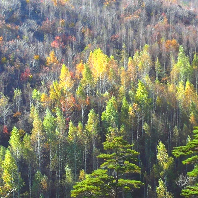 SE-037f70dd-f024-4b8e-b02f-f595a99d8099.jpg?type=w1