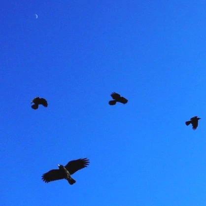 SE-bbd94dd5-3c36-4b89-9c08-5e59d20fe2b5.jpg?type=w1