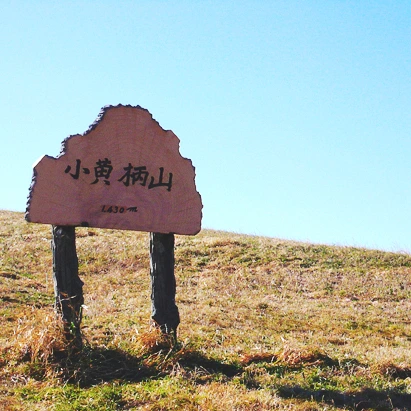 SE-49f36fc2-b927-4abc-bbb3-6895b5eecea0.jpg?type=w1