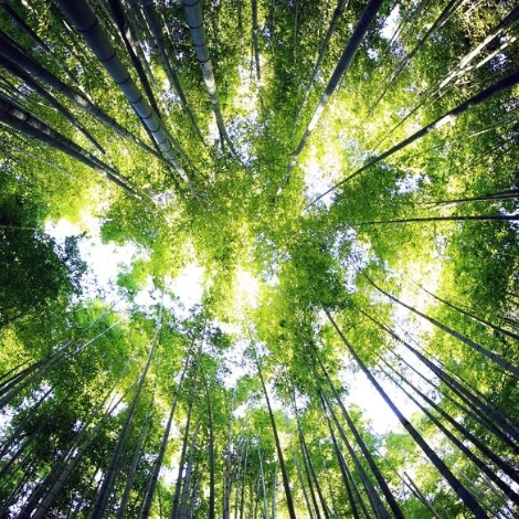 SE-82ed67d6-33aa-4fac-8caa-5e6e6507c562.jpg?type=w1