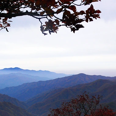 SE-58f33eb2-37c0-42dc-b96a-e4e5546347b1.jpg?type=w1