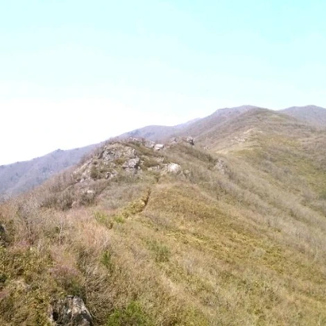 SE-fc132a3b-2298-4add-a932-ddce9c42a970.jpg?type=w1