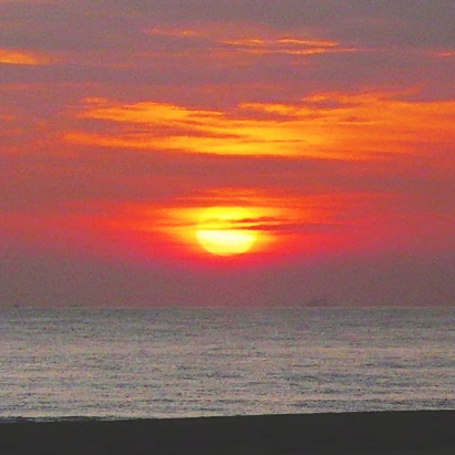 SE-918b9bd5-b74a-43ca-8fd4-d17c27f8e0b2.jpg?type=w1